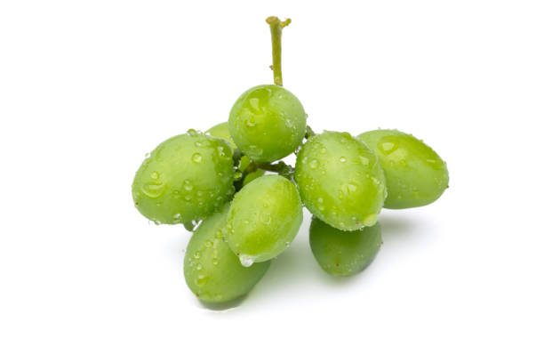 istock Unripe grapes isolated on the white background 1499271677