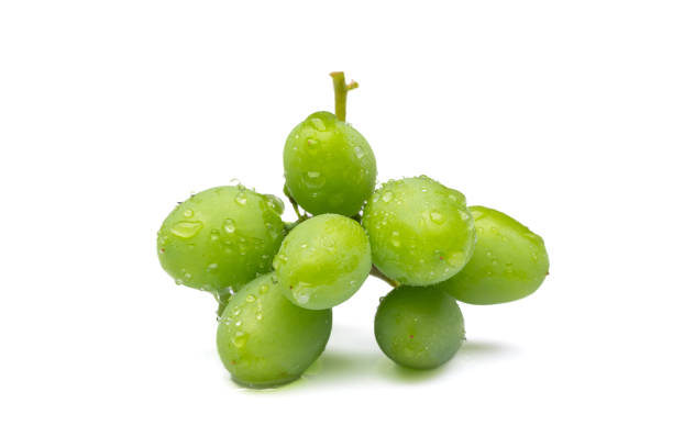 istock Unripe grapes isolated on the white background 1499271703