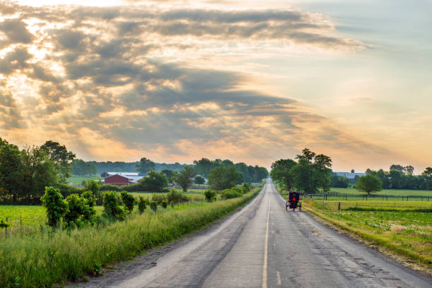 istock Amish Buggy and Sunbeams 1499279592