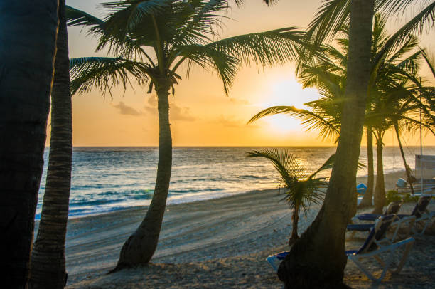 istock Sunset in the beach in Dominican Republic 1499280287