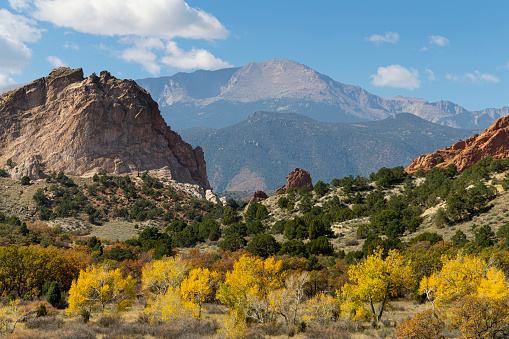 Deciduous trees turn to autumn gold in Garden of the Gods Colorado