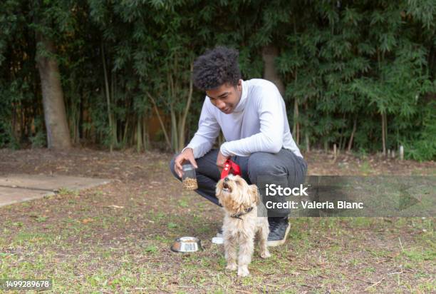 Young Man With Pet Playing Outdoors Stock Photo - Download Image Now - 20-24 Years, Adult, Adults Only