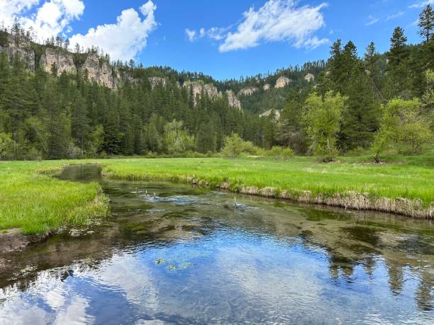 spearfish canyon - black hills - fotografias e filmes do acervo