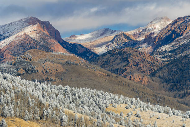 istock Colorado Winter Wonderland 1499291496