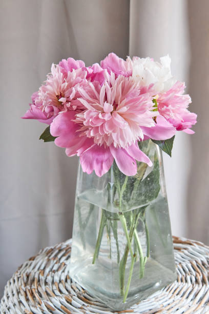 istock Beautiful pink peony flower bouqet 1499295058