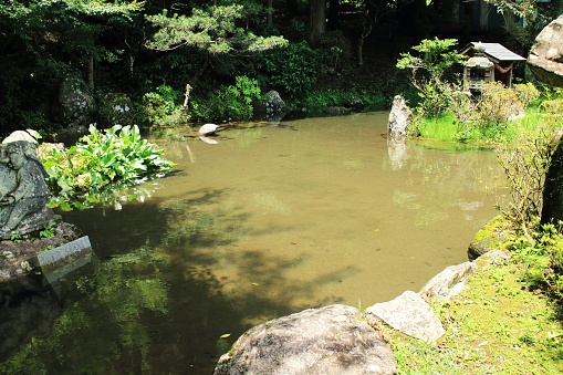 Kotsuki Pond with beautiful mountain water