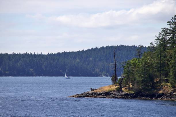 istock Scenes in the San Juan Islands 1499315124