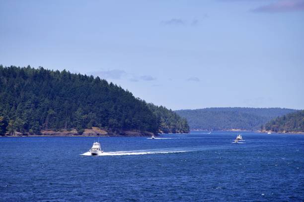 istock Scenes in the San Juan Islands 1499315287