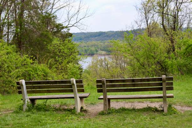 istock Benches Overlooking of the River 1499320030