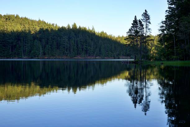 Views of Orcas Island