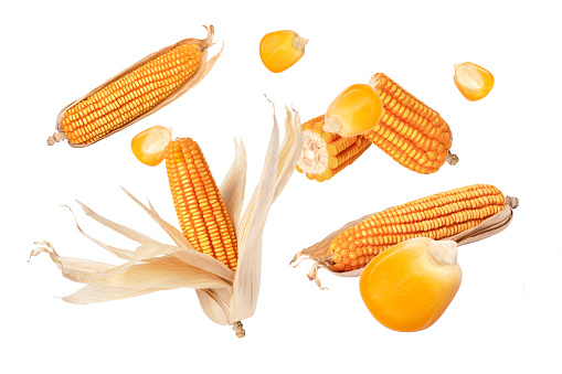 Corn flying in the air isolated on white background.