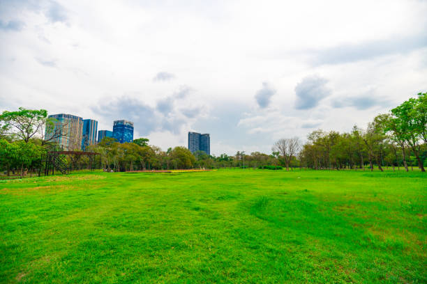 istock Green meadow grass in tree park against blue sky 1499344975
