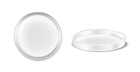 3d realistic vector icon. Petri dish. Laboratory and sience equipment. Test and research lab. Top and side view.