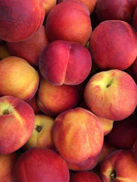 istock Full frame of ripe peaches. 1499352774