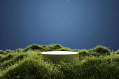 Abstact 3d render Natural background, Stone podium on the grass field, backdrop the stars that shine in the night sky for product display, advertising, cosmetic or etc