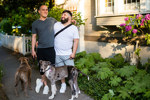 Two Affectionate gay men in love, having a relaxing evening walk through a Portland Oregon Neighborhood. They are walking their two dogs on leashes. The men are in their 30s and early 40s both multiracial people.