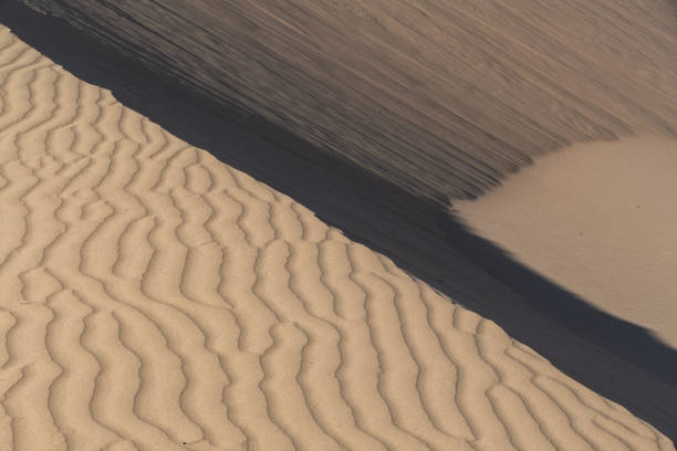istock Elsen Tasarkhai or mini-Gobi, Central Mongolia 1499365146