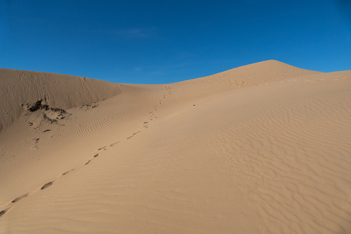 Footsteps on dunes in Kubuqi Desert, Inner Mongolia, China
