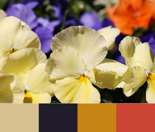 istock color matching palette, magazine collage style, artistic mood board concept. selective focus. yellow and purple flowers on blurred background 1499368539