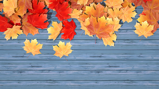 Autumn leaves on blue wooden background, digitally generated image.
