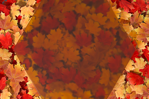 Autumn leaves background with glass transparent frame, copy space. Digitally generated image.