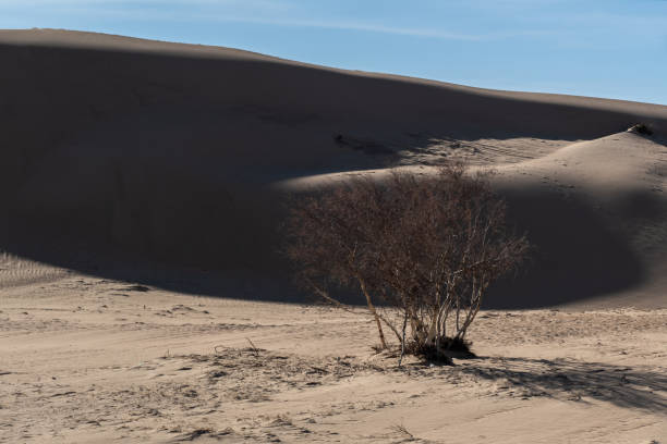 Sand dune texture background