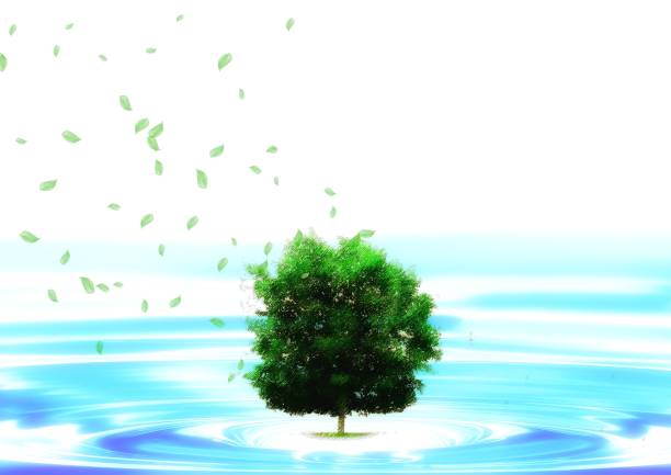 istock 3d illustration of a single tree growing in water 1499368926
