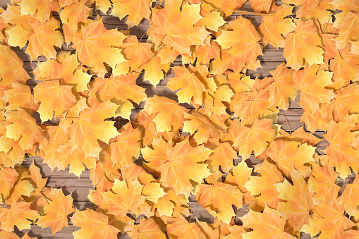 Autumn leaves on wooden background, digitally generated image.