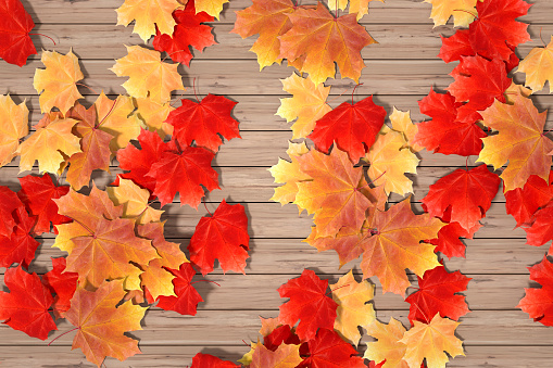 Autumn leaves on wooden background, digitally generated image.