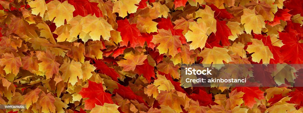 Autumn leaves background Autumn leaves background, digitally generated image. Abstract Stock Photo