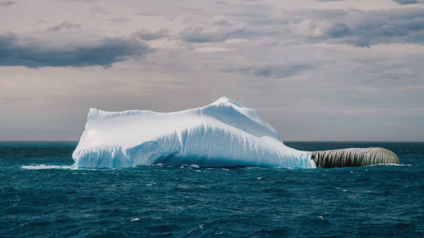 istock Antarctica Iceberg floating on Antarctic Ocean in Summer 1499372244