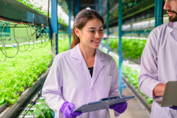 istock Scientists team working and researching in hydro and organic farm 1499373871