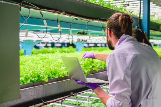 istock Scientists team working and researching in hydro and organic farm 1499373941