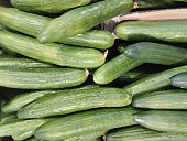 big cucumbers