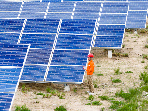 Technician Troubleshooting Solar Photovoltaic Panels