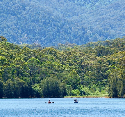 Glacier Blue waters and Avocado Yellow hillscape, Bega River and rowers, Snowy Mountains, New South Wales