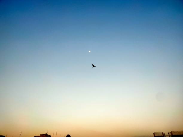 Just watching the colors of magical sky