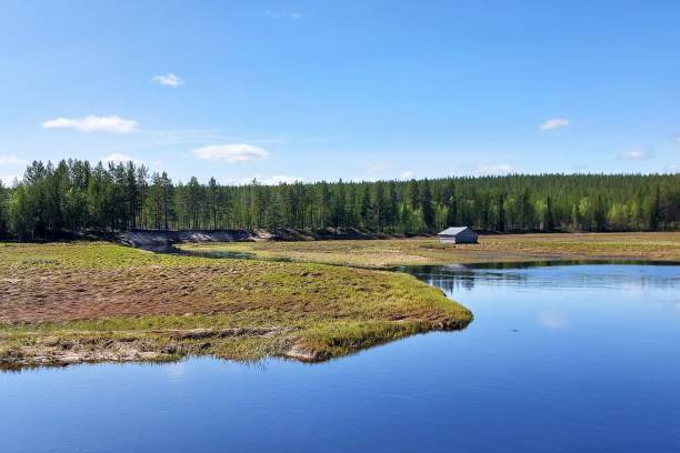 istock Nature reserve in northern Sweden - Svansele water meadows 1499384992