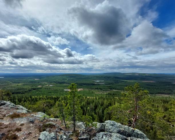 istock View over nordic forests from the small mountain Vithatten in Sweden 1499385012