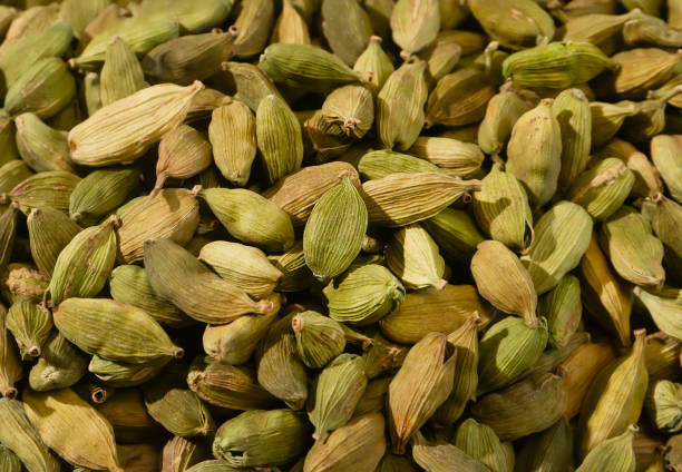 istock Heap of fresh green Cardamum 1499385459