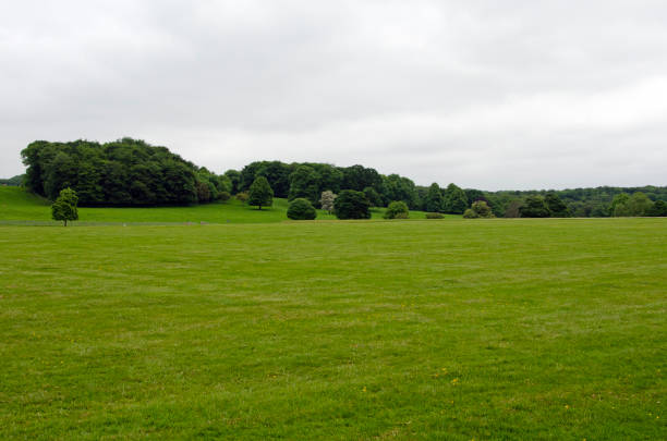 A patterned tapestry of green agricultural fields, punctuated by clusters of trees, under bright sunlight.