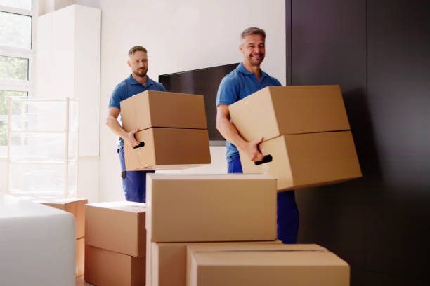 Movers Delivering Packaging Boxes stock photo