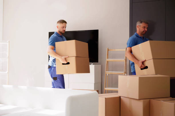 Movers Delivering Packaging Boxes