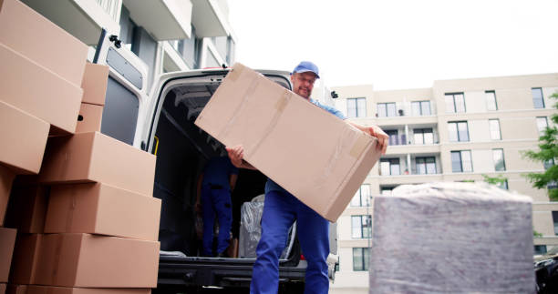 Two Young Male Movers Carrying Cardboard Box stock photo