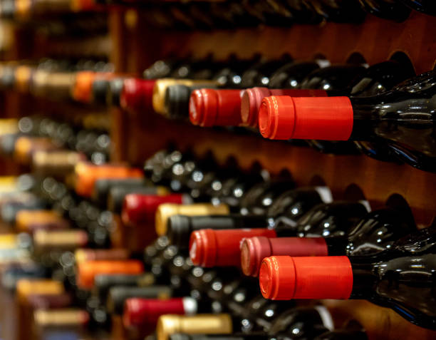 bottles of black red wine lined up and stacked on wooden wine rack shelves from a private collection of a wine cellar in spain. - wine cellar liquor store wine rack imagens e fotografias de stock