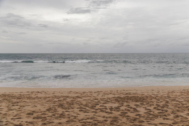 istock Ocean waves break on empty sand beach during cloudy gloomy day 1499405431