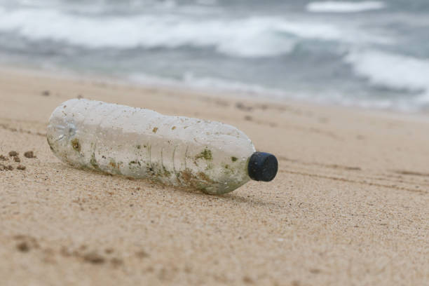 istock Plastic trash at the sandy beach. Plastic pollution concept. Single-use plastic is a human addiction that is destroying our planet and impacts our waters, sea life and humans. 1499407727