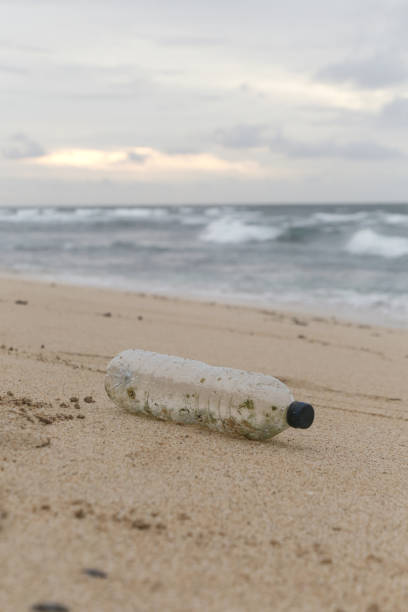 istock Plastic trash at the sandy beach. Plastic pollution concept. Single-use plastic is a human addiction that is destroying our planet and impacts our waters, sea life and humans. 1499407823