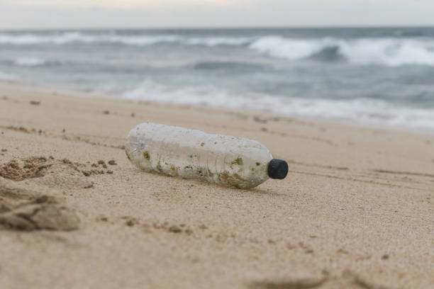 istock Plastic trash at the sandy beach. Plastic pollution concept. Single-use plastic is a human addiction that is destroying our planet and impacts our waters, sea life and humans. 1499407824