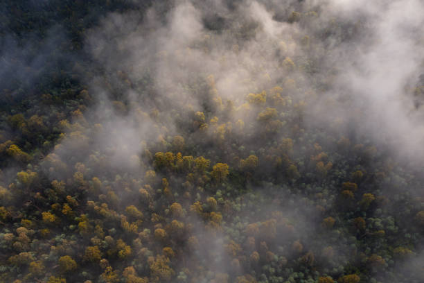istock Sunrise Fog over Yarra Valley 1499408637